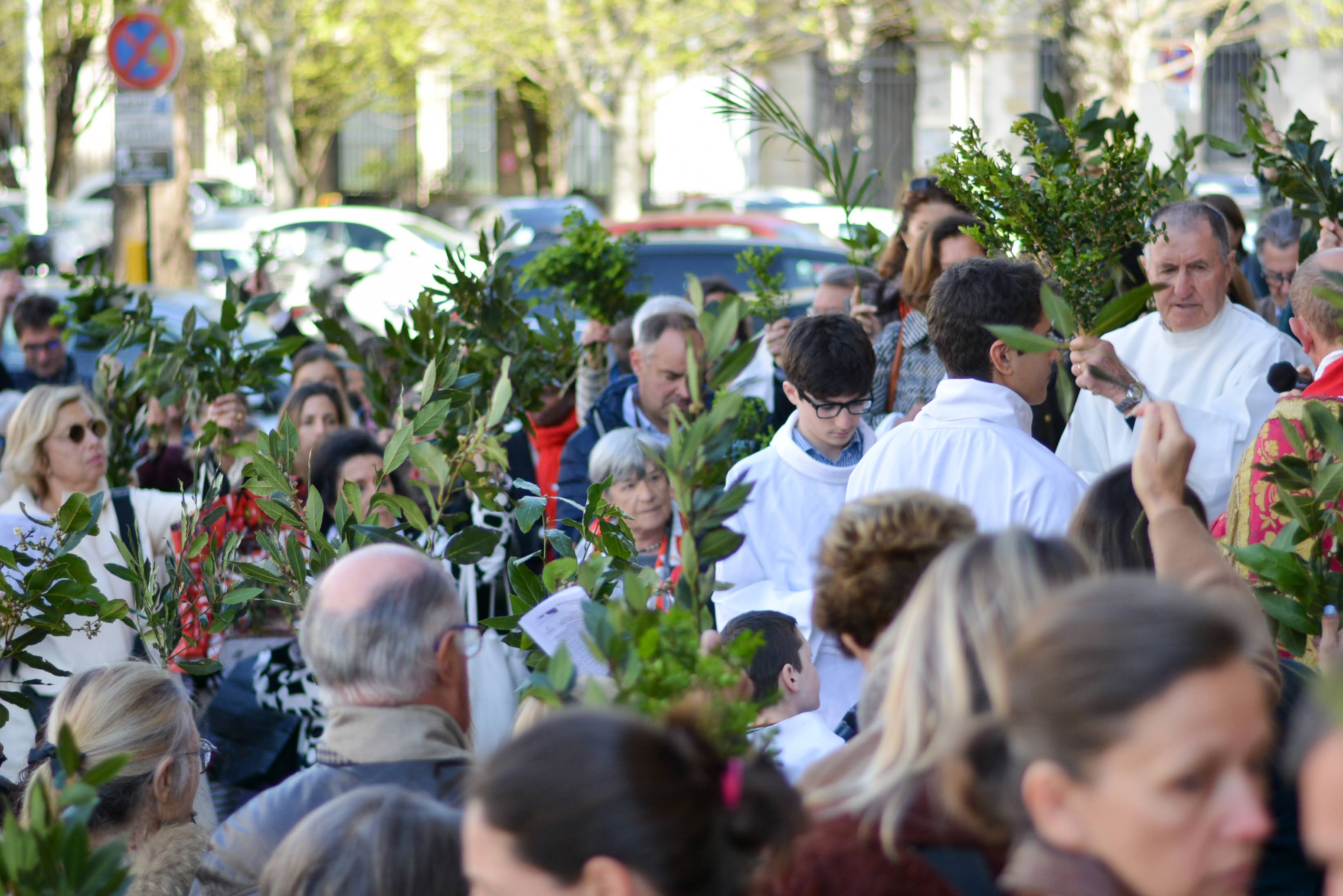 Retour en images sur la fête des Rameaux